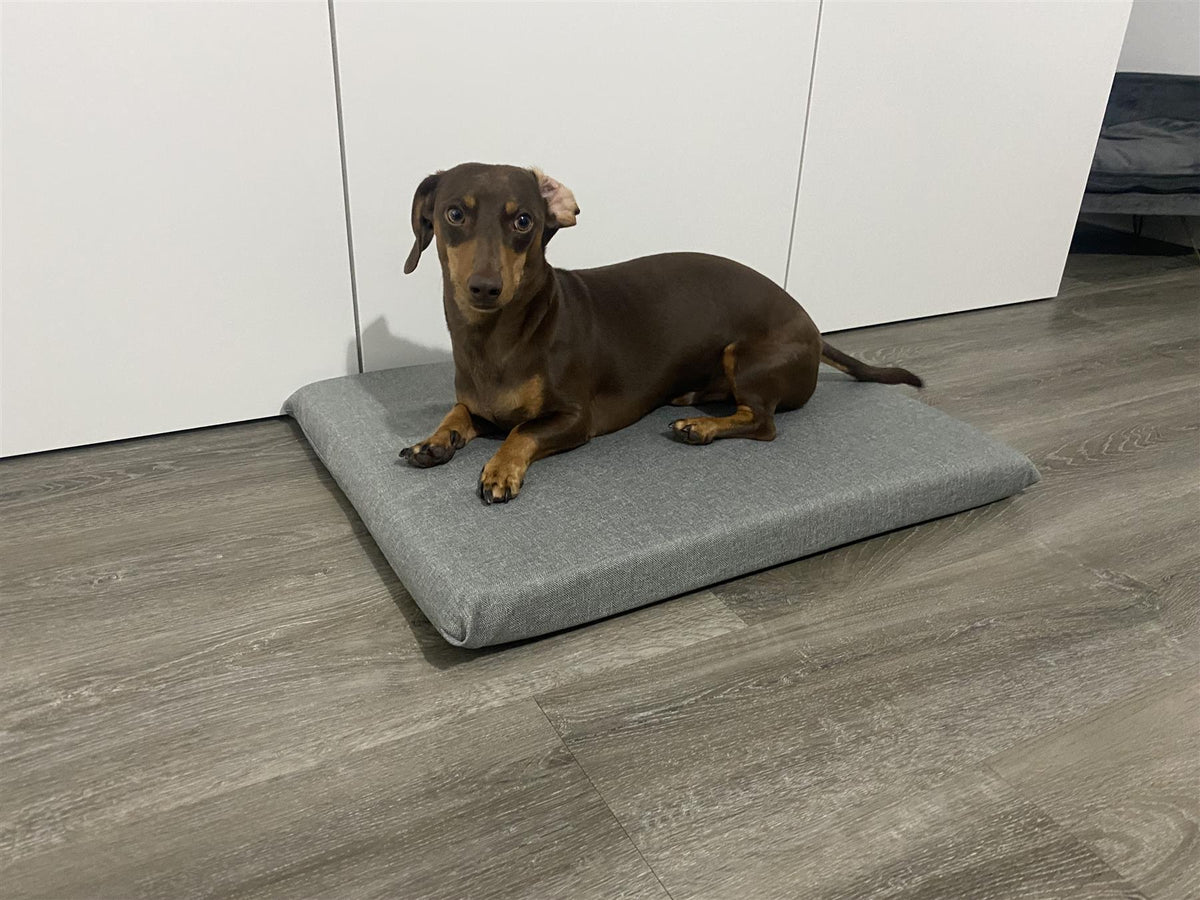 28x42 dog outlet bed