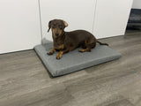 Memory Foam Dog Bed with Removable Washable Pet Dog Bed